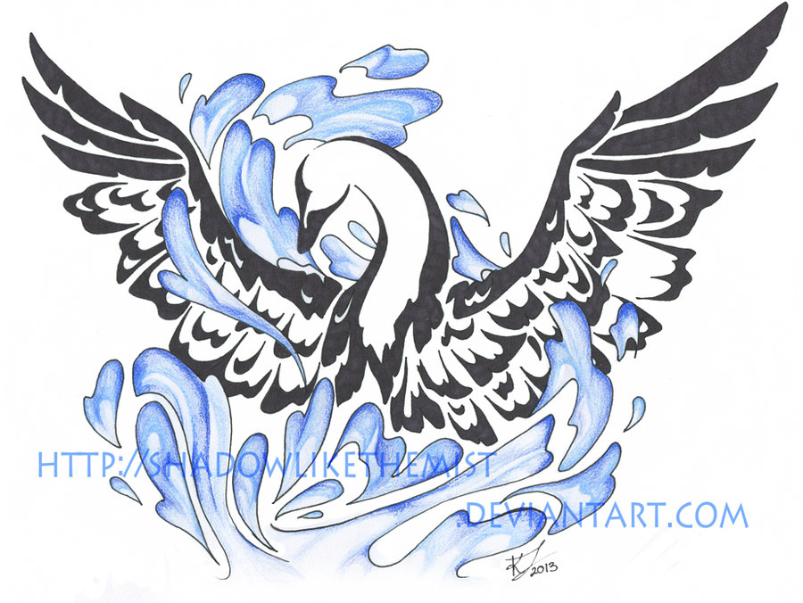 900x676 Swan Tattoo Drawing - Swan Tattoo Drawing