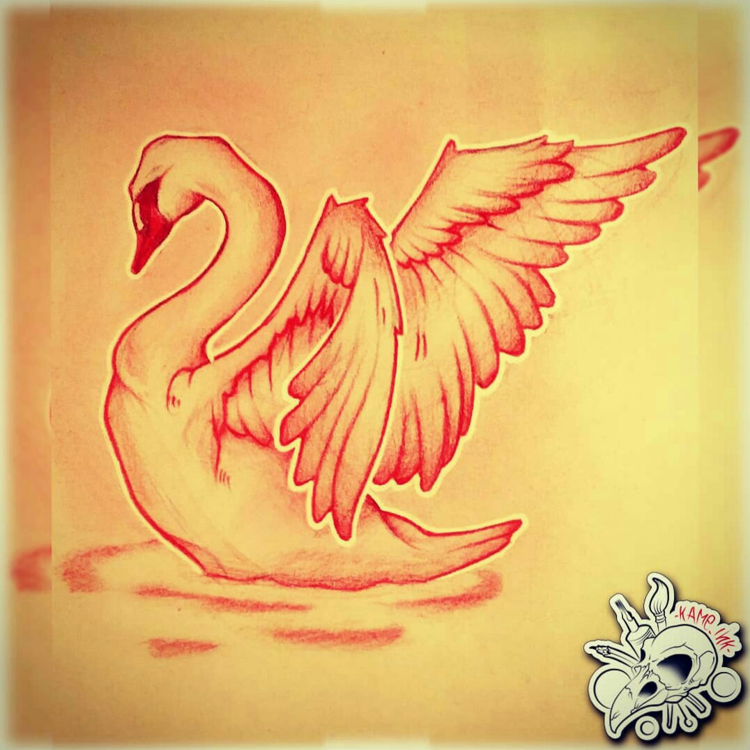 1076x1076 Swan' In Tattoos Tattoodo - Swan Tattoo Drawing