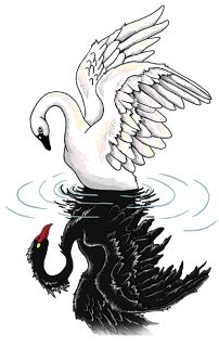 202x320 Best Black Swan Tattoo Images Black Swan Tattoo, Swans, Birds - Swan Tattoo Drawing