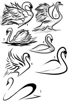 236x347 Swan Tattoos - Swan Tattoo Drawing