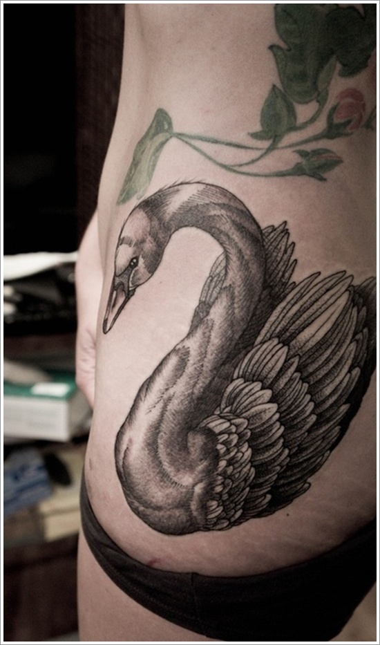 550x933 Dazzling And Eye Catching Swan Tattoo Designs - Swan Tattoo Drawing