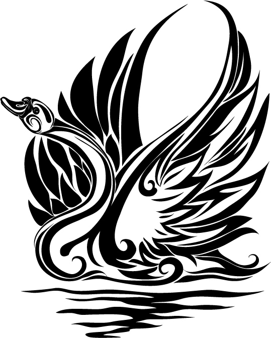 539x672 Swan Tattoos - Swan Tattoo Drawing