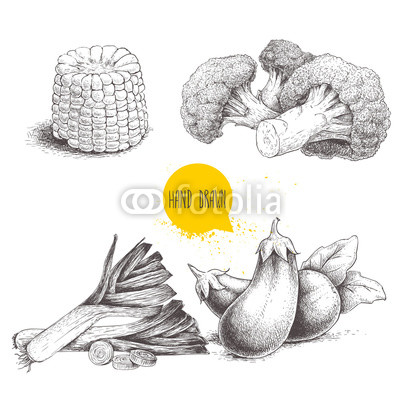 400x400 Hand Drawn Sketch Style Vegetables Set Leeks Eggplants - Sweet Corn Drawing