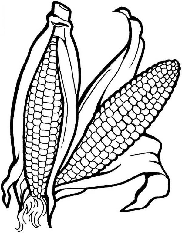 600x770 drawn korn sweet corn free clip art stock illustrations - Sweet Corn Drawing