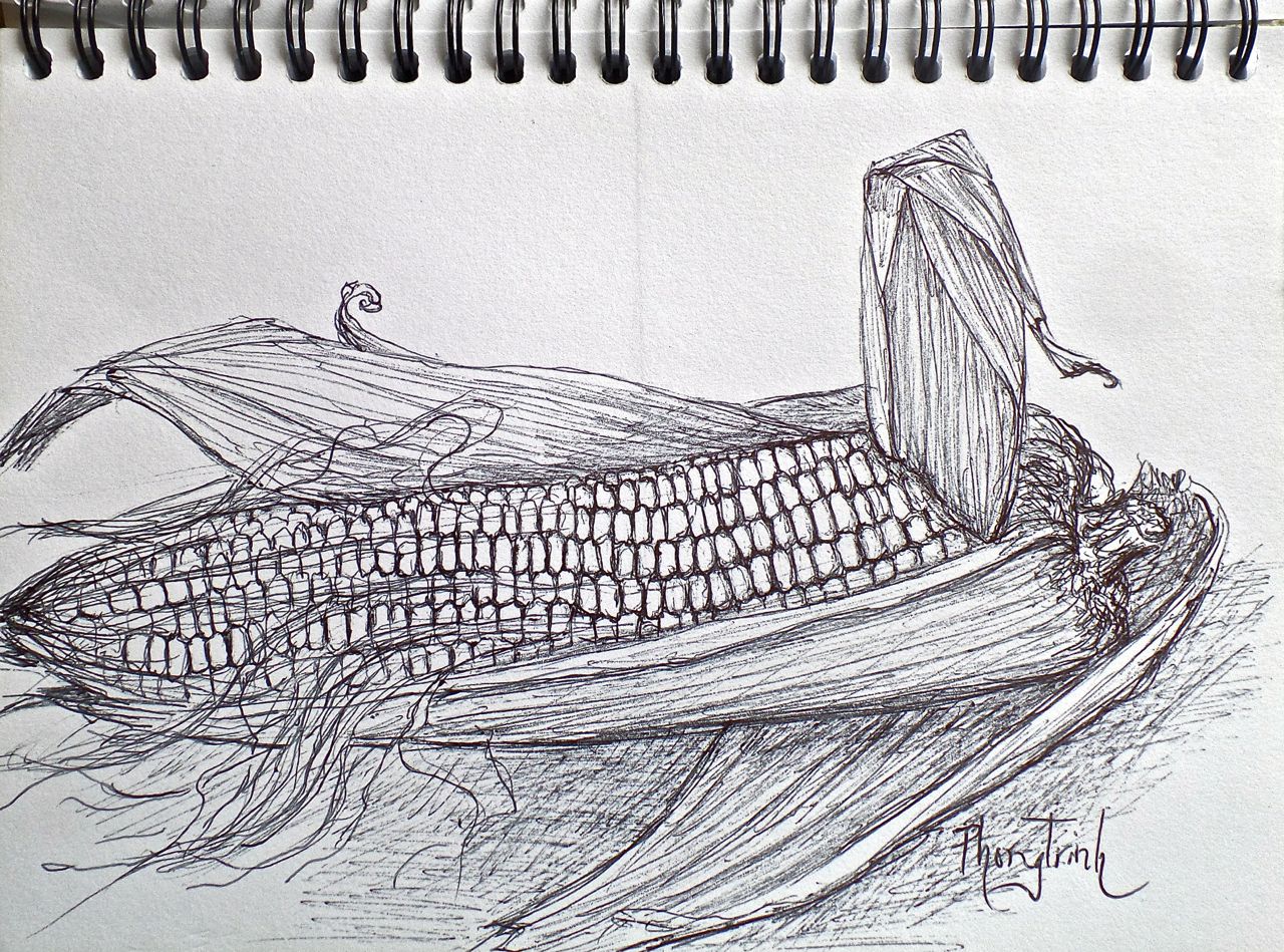 1280x949 phong trinh watercolors sweet corn, kindness from nature - Sweet Corn Drawing