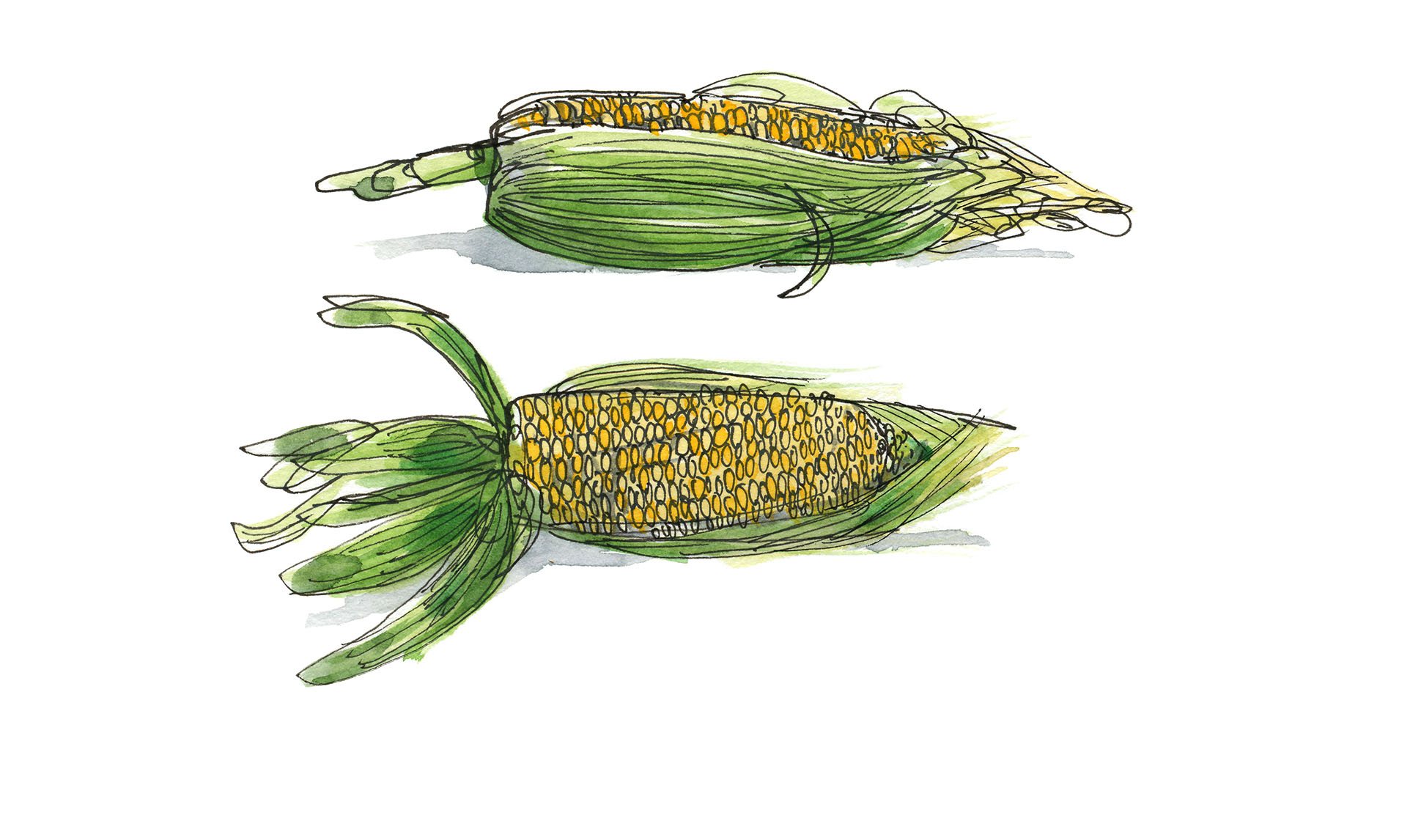 1924x1146 silky sweet corn soup eyeswoon - Sweet Corn Drawing