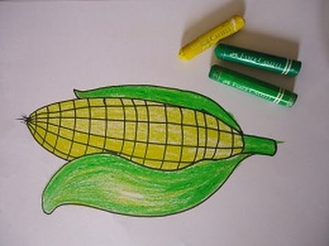 480x360 drawing for kids,sweet corn yummy - Sweet Corn Drawing