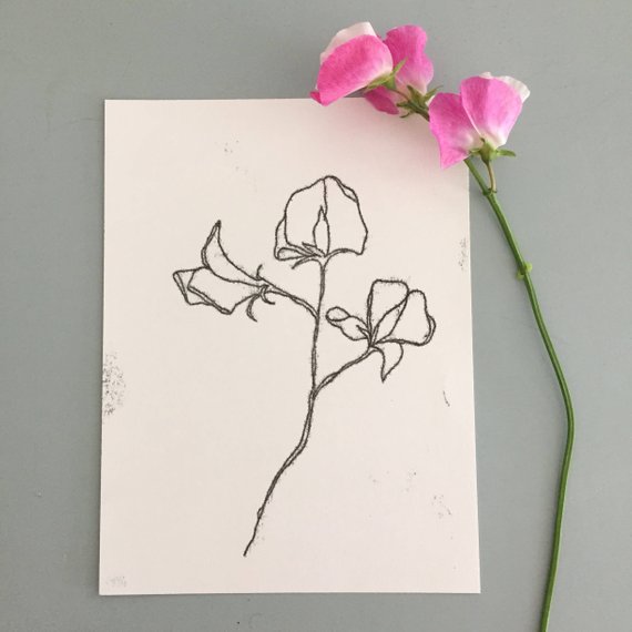 570x570 simple hand drawn sweet pea botanical illustration original etsy - Sweet Pea Drawing
