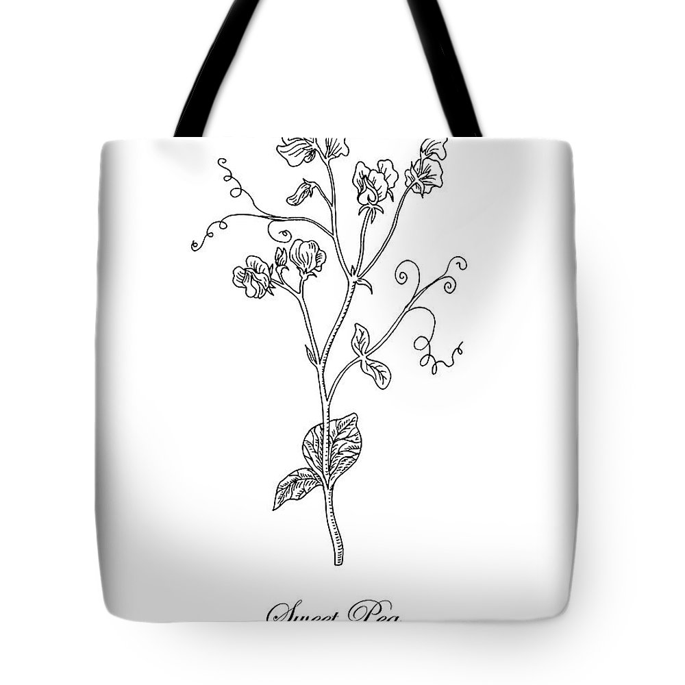 1000x1000 sweet pea flower botanical drawing tote bag for sale - Sweet Pea Flower Drawing