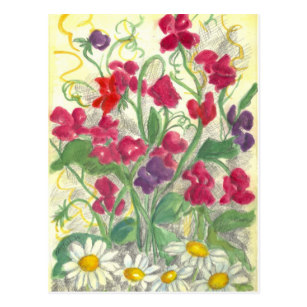 307x307 sweet pea flower drawing gifts on zazzle - Sweet Pea Flower Drawing