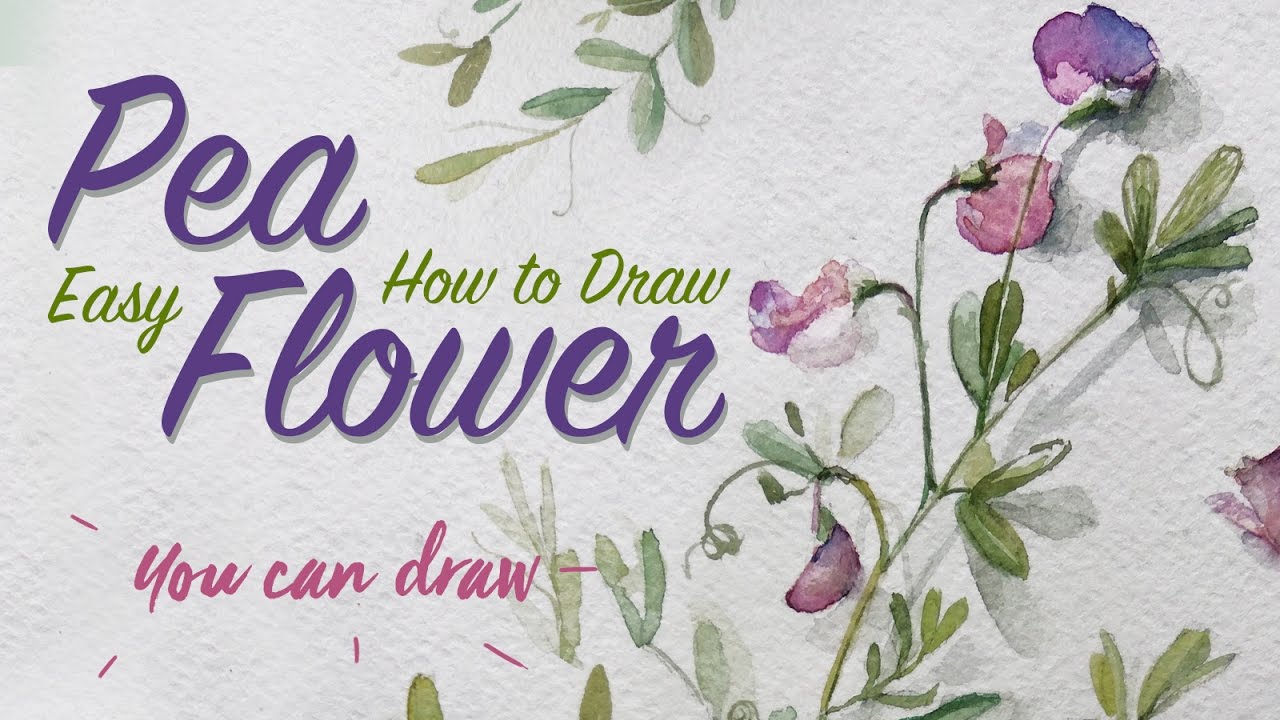 1280x720 how to draw realistic flowers learn to draw pea flower easy - Sweet Pea Flower Drawing