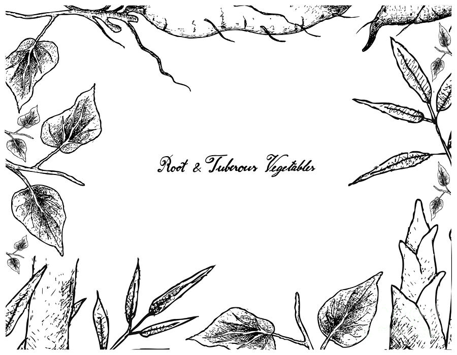 900x700 hand drawn frame of sweet potato and bamboo shoot drawing - Sweet Potato Drawing