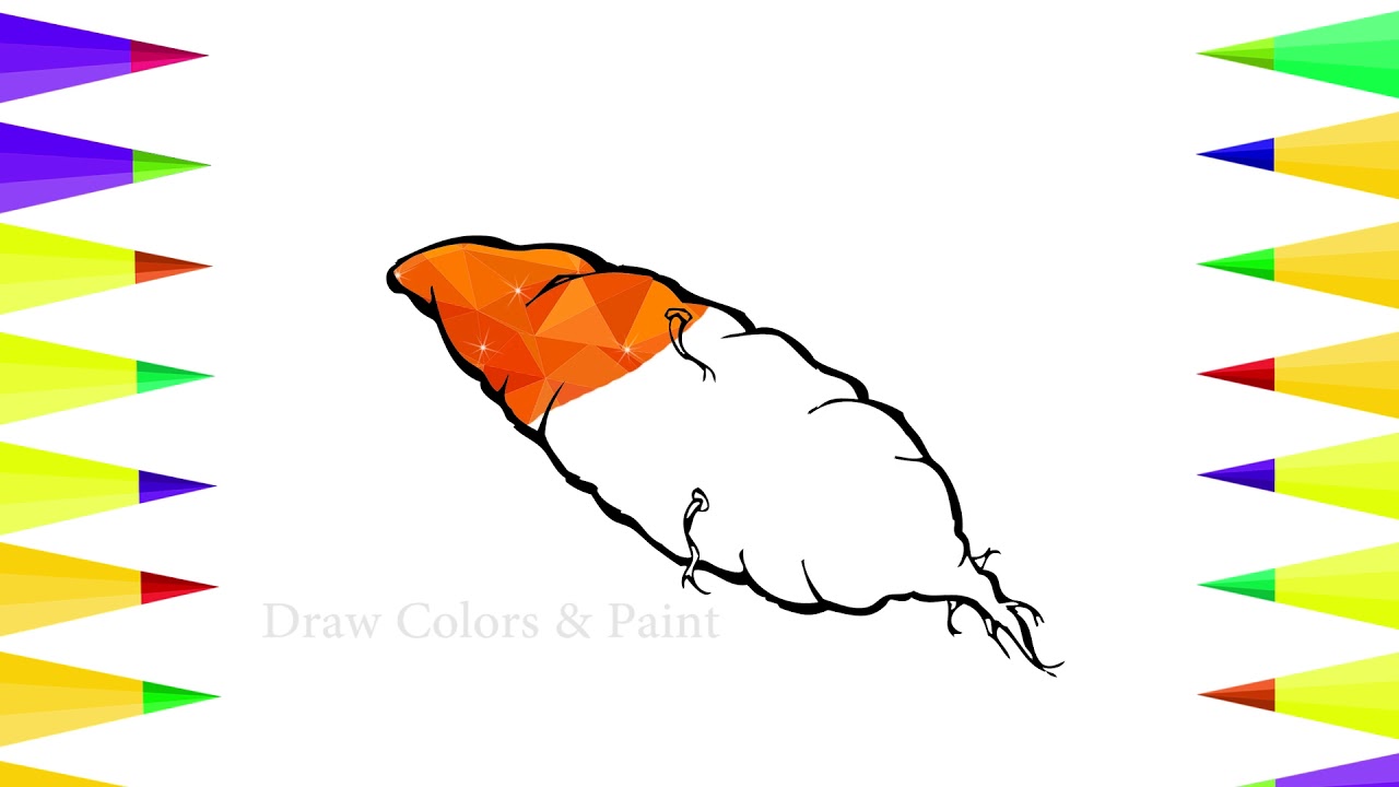 1280x720 how to draw glitter vegetables coloring sweet potato baby - Sweet Potato Drawing