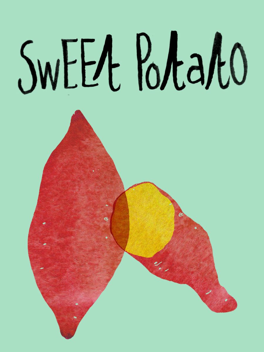 900x1200 sweet potato - Sweet Potato Drawing