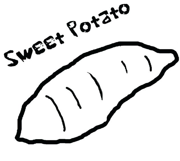 631x567 potato drawing sweet potato for free download - Sweet Potato Drawing