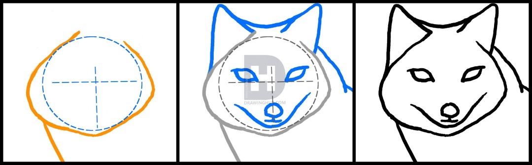 1080x336 How To Draw A Fox Head, Swift Fox, Step - Swift Fox Drawing
