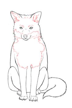 236x354 Learn How To Draw A Swift Fox - Swift Fox Drawing