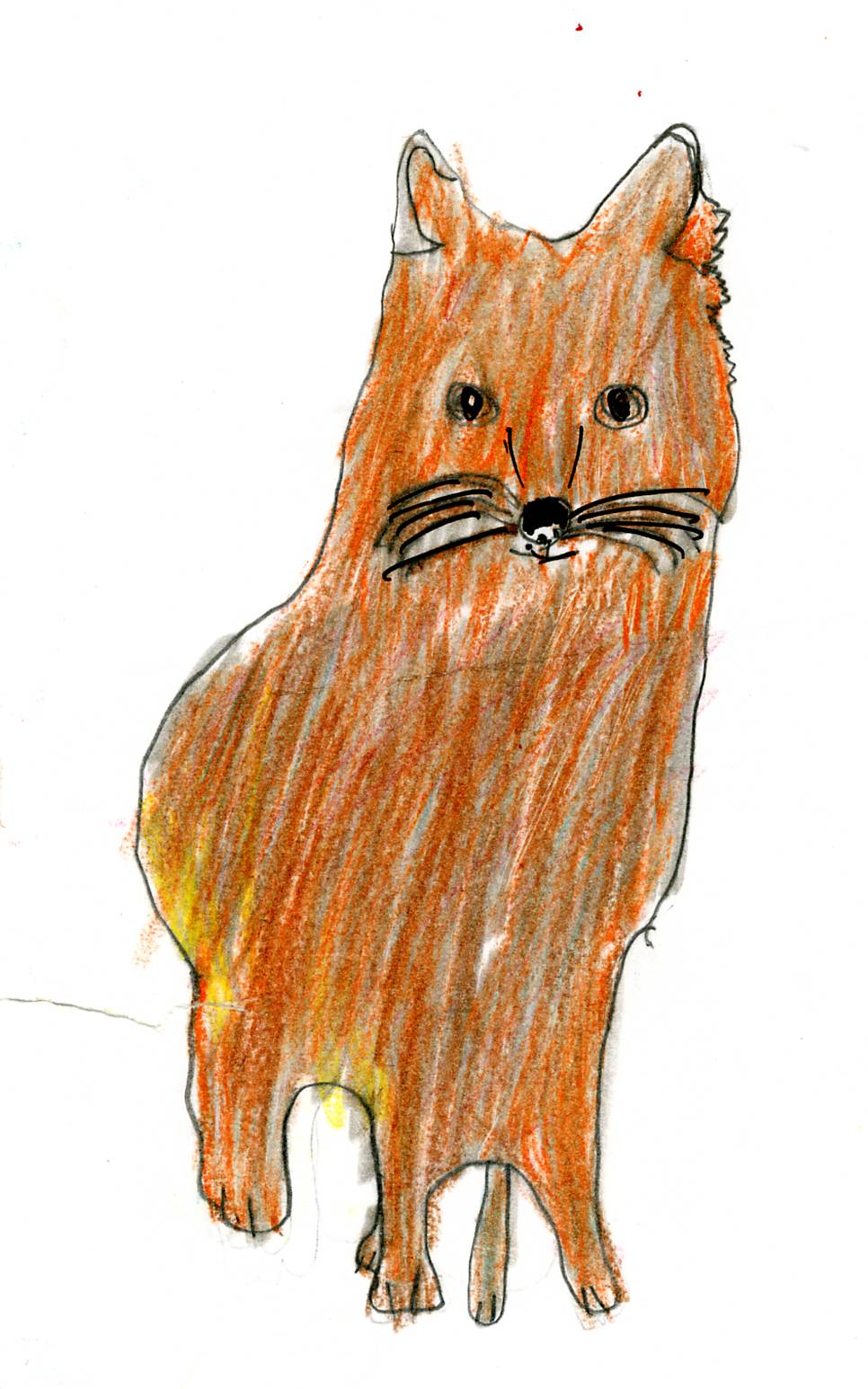 966x1546 saving the swift fox - Swift Fox Drawing