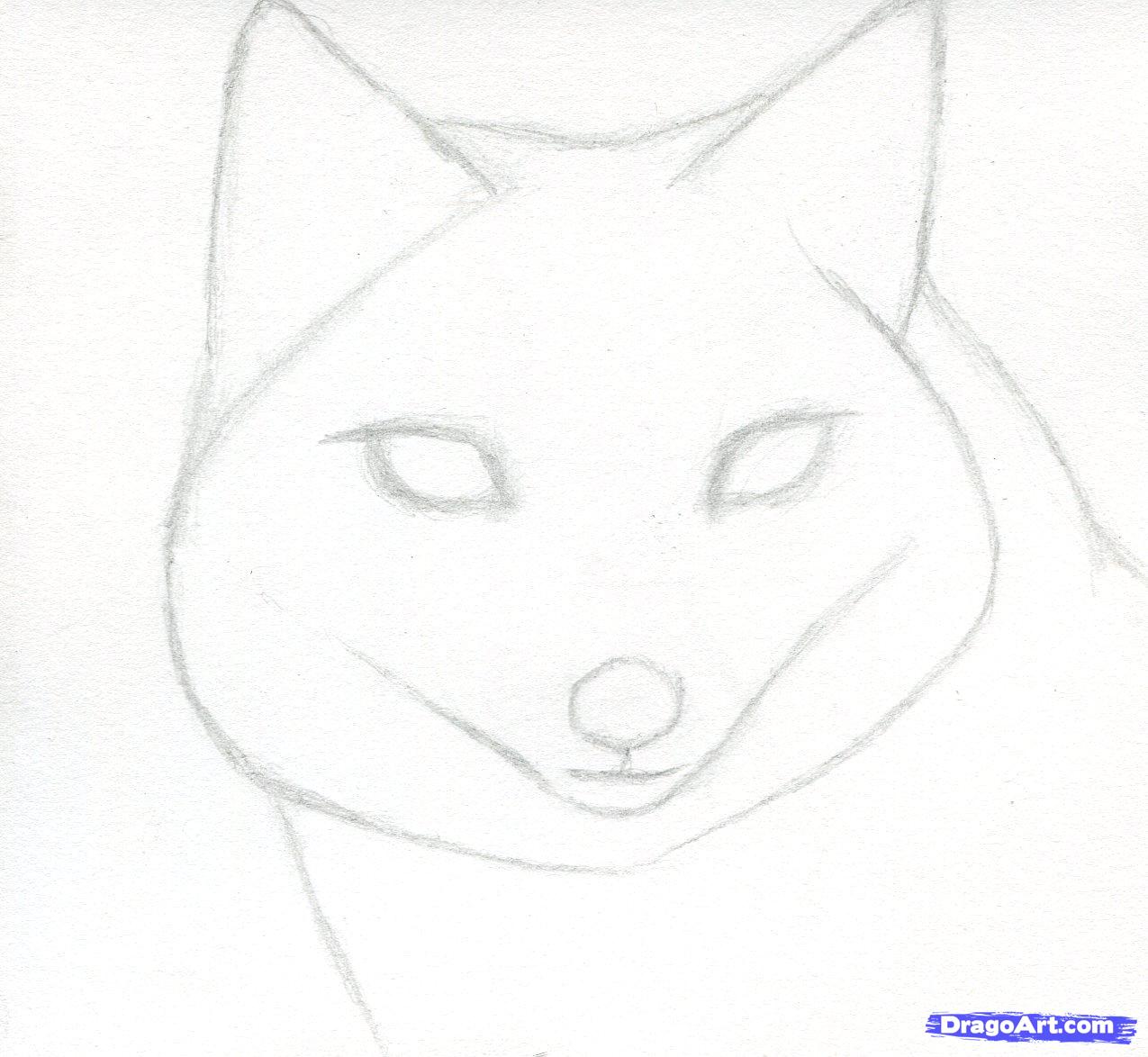 1275x1174 Draw A Fox Head, Swift Fox, Step - Swift Fox Drawing