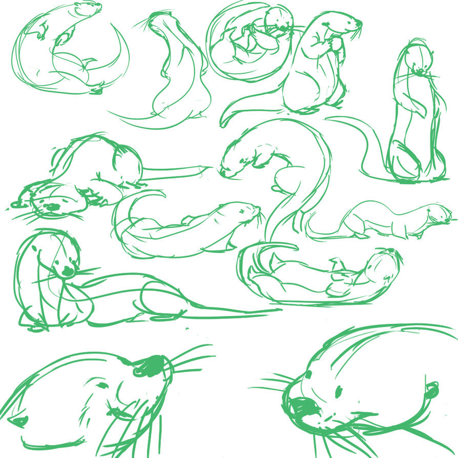 894x894 otter swimming drawing best drawing skill - Swimming Drawing Images