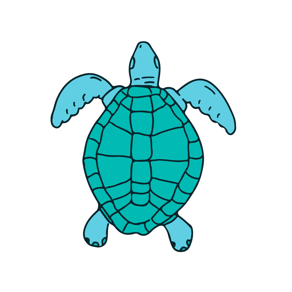 1000x1000 sea turtle swimming drawing on behance - Swimming Drawing Images