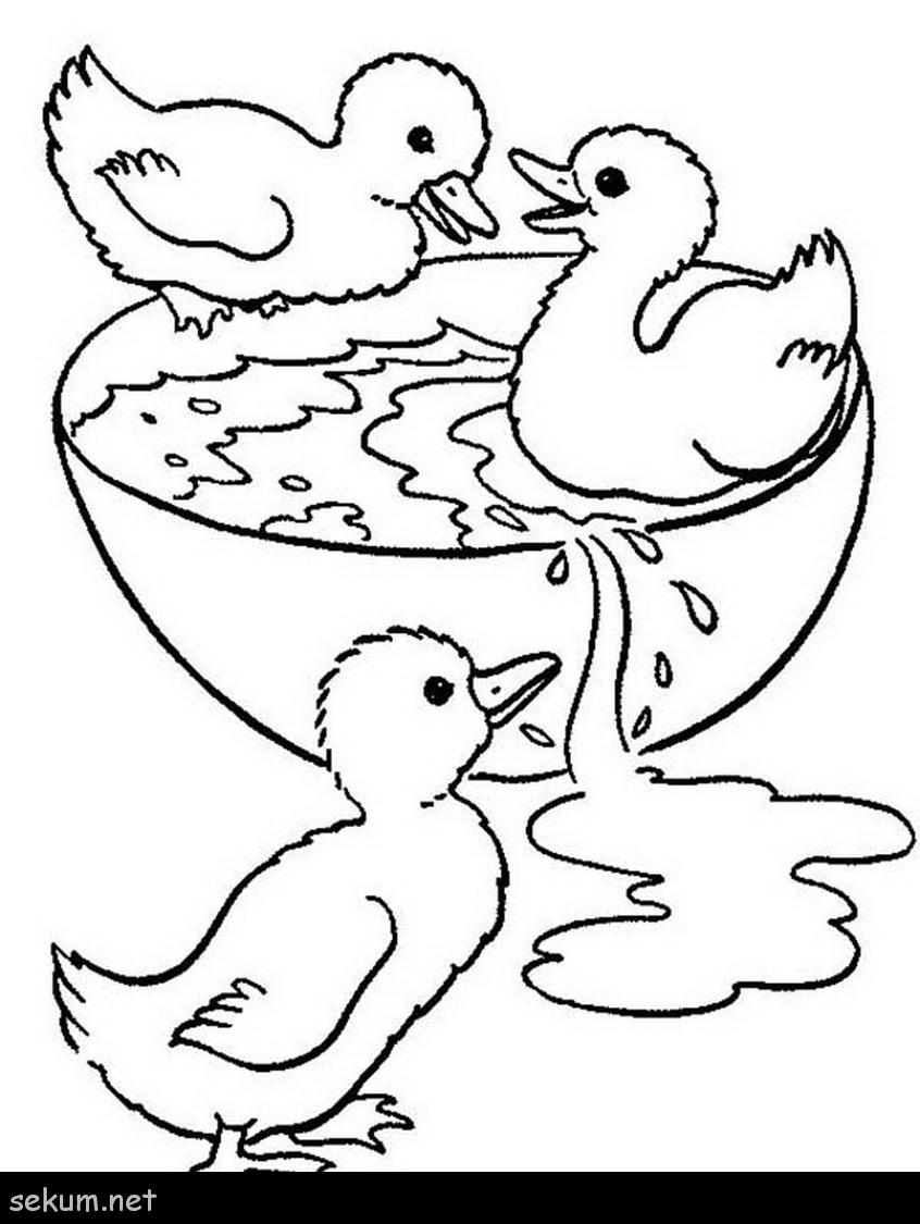 846x1125 barbie little mermaid coloring pages new mermaid swimming drawing - Swimming Drawing Images