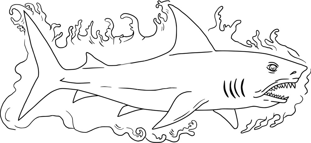 1000x460 drawing sketch style illustration of a shark swimming in water - Swimming Drawing Images