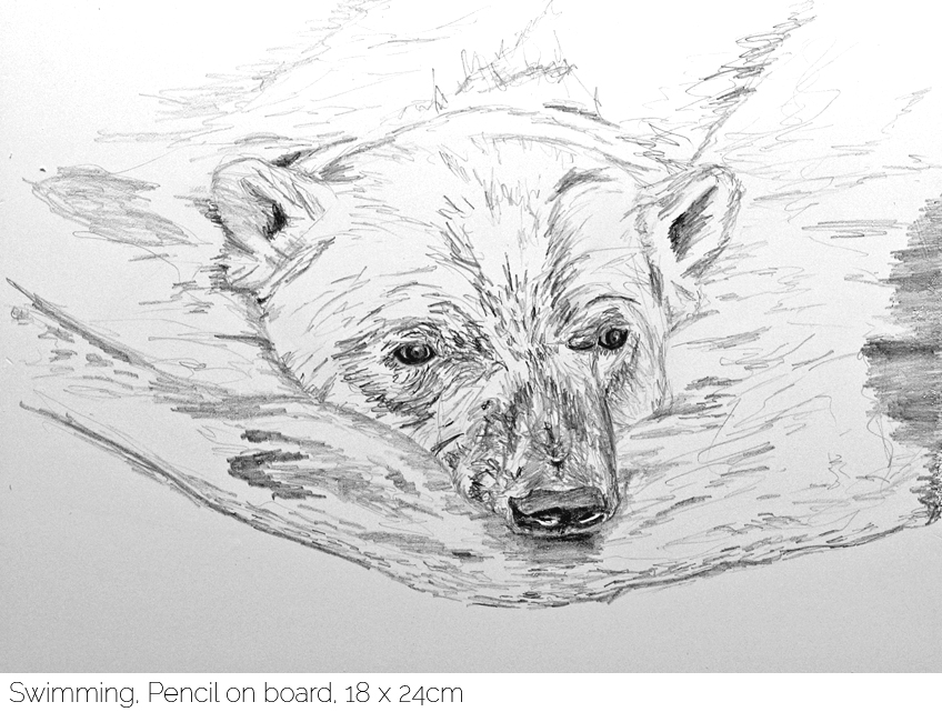 848x650 Ciara O'hara Swimming, Drawing On Board - Swimming Drawing Pictures