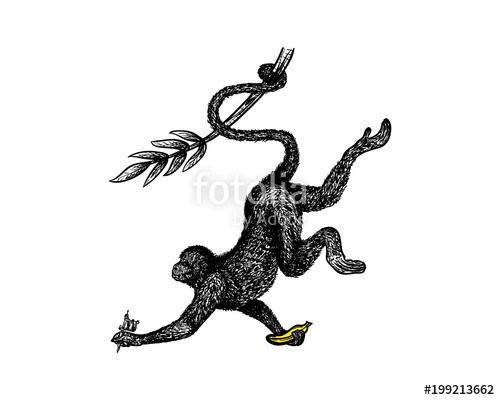 500x400 monkey swinging with banana and tatto tool on the hand hans - Swinging Monkey Drawing