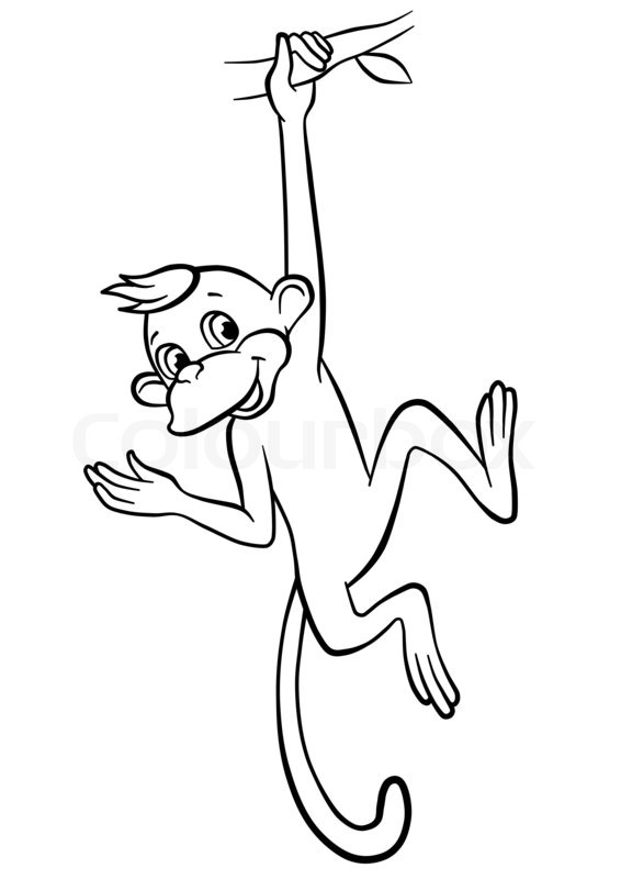 Swinging Monkey Drawing At Paintingvalley Com Explore