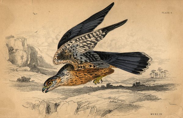 600x385 the symbolism of the teachings of the wizard in the sword - Sword In The Stone Drawing