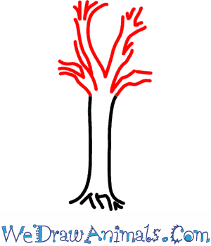 300x350 How To Draw A Sycamore Tree - Sycamore Tree Drawing