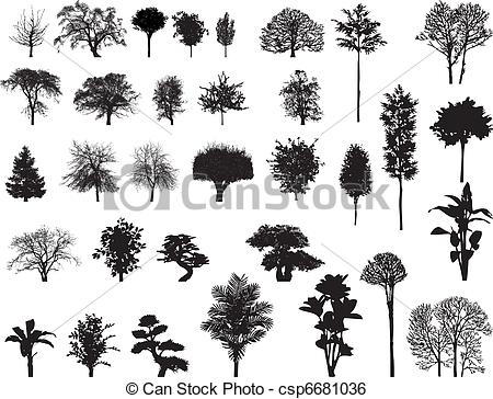 450x364 Ikon Vector Silhouettes Of Trees - Sycamore Tree Drawing