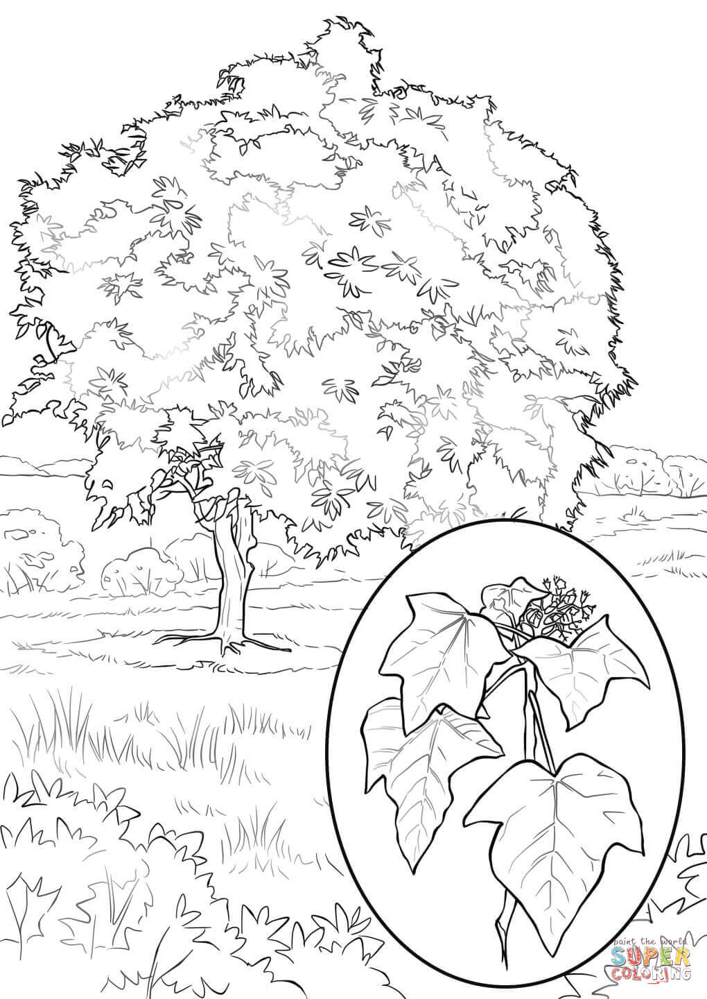 1020x1440 Splendid Design Sycamore Tree Coloring - Sycamore Tree Drawing