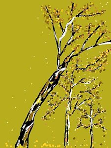 226x300 Sycamore Trees Drawings Fine Art America - Sycamore Tree Drawing