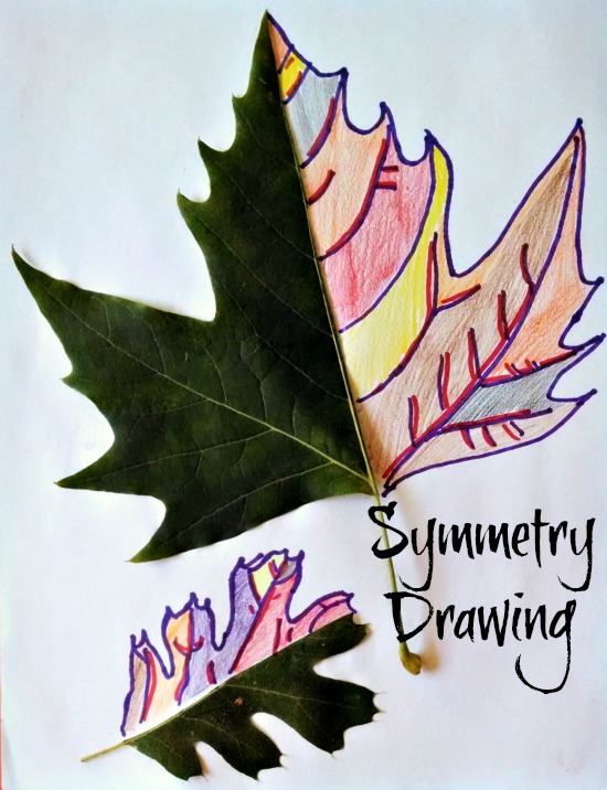 550x716 symmetry drawing - Symmetry Drawing