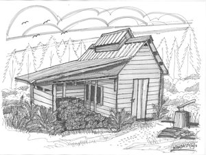 300x226 maple syrup drawings fine art america - Syrup Drawing