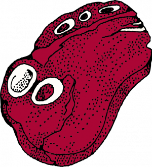 300x331 raw t bone steak vector drawing - T Bone Steak Drawing