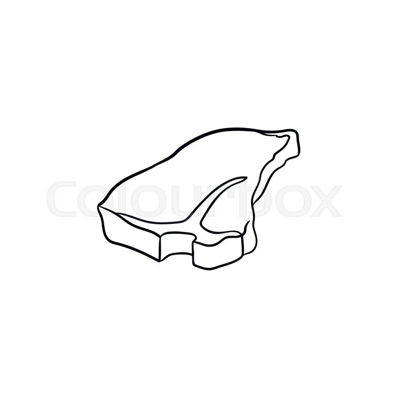800x800 t bone beef steak hand drawn outline stock vector colourbox - T Bone Steak Drawing