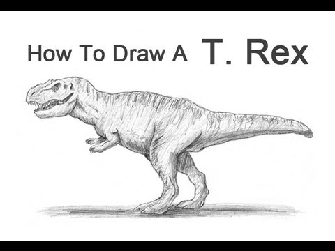 480x360 How To Draw A Tyrannosaurus Rex - T Rex Dinosaur Drawing