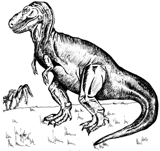 636x599 Tyrannosaurus Rex Drawing - T Rex Dinosaur Drawing