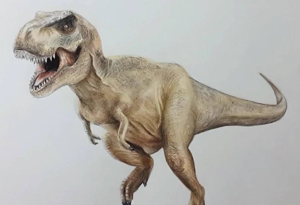 1052x720 how i draw tyrannosaurus rex dibujando tiranosaurio rex - T Rex Drawing