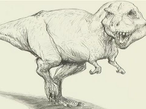 480x360 How To Draw A T Rex - T Rex Drawing