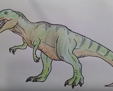 370x297 How To Draw T Rex Easy Archives - T Rex Drawing Easy