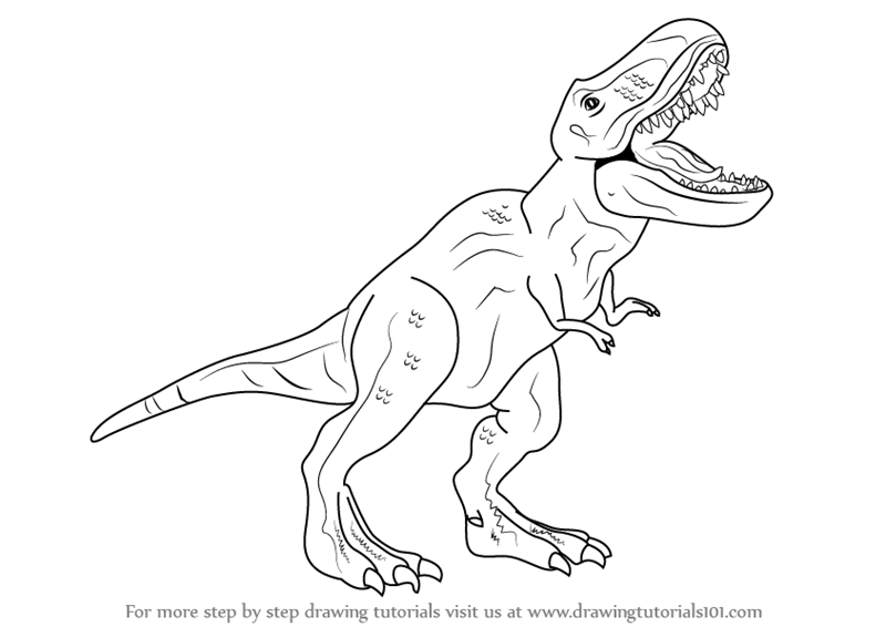 800x566 Learn How To Draw A Tyrannosaurus Rex - T Rex Drawing Easy