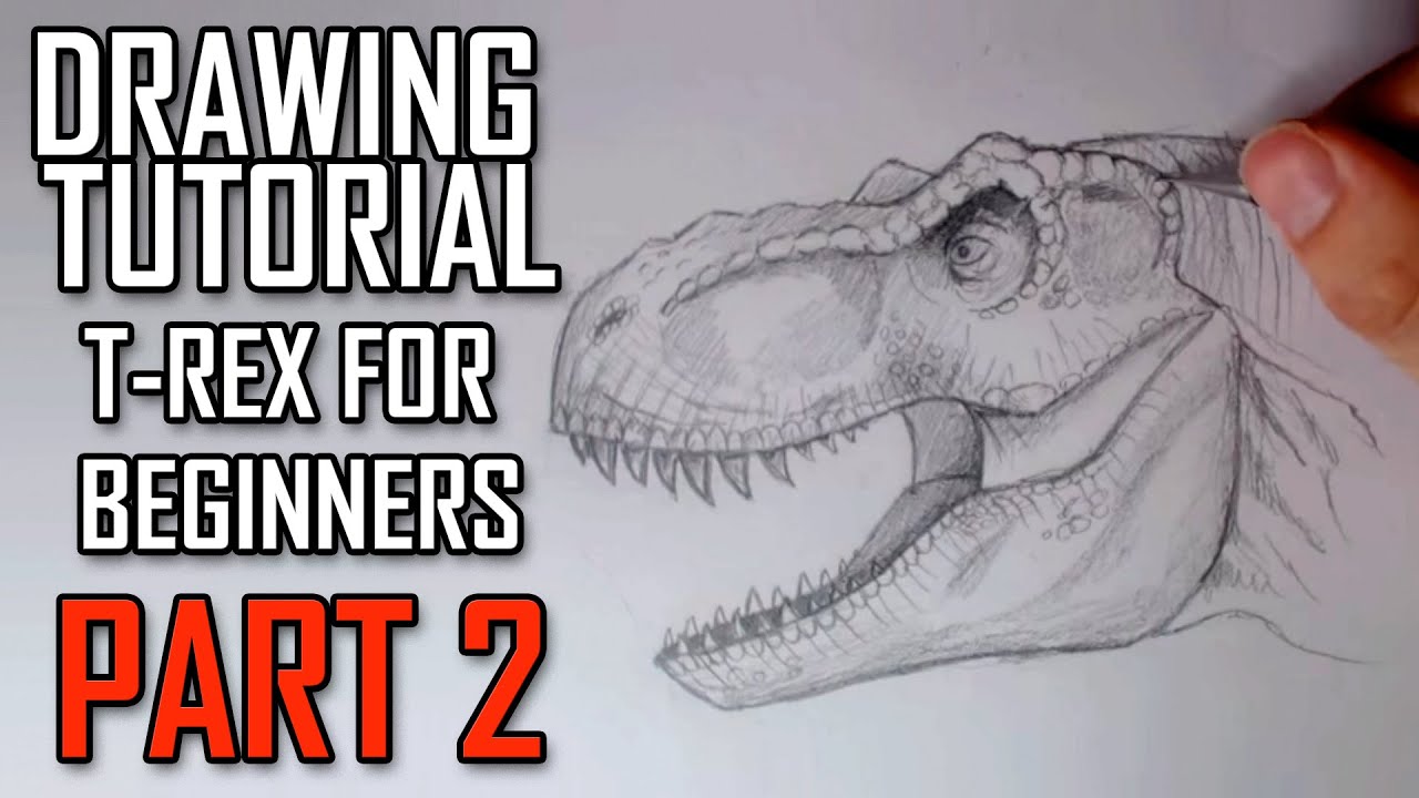 1280x720 Learn How To Draw A Jurassic Park Trex Head For Intermediates - T Rex Head Drawing