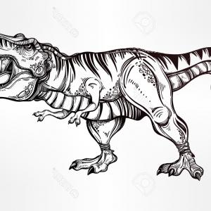 300x300 Angry T Rex Head Vector Sohadacouri - T Rex Head Drawing