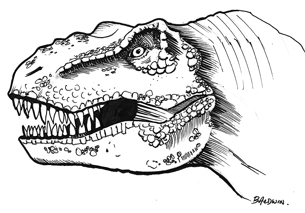 1000x698 T Rex For Inktober Drawingbymatt - T Rex Head Drawing