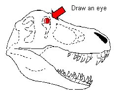 250x198 Draw T Rex, Educational Resources For K - T Rex Head Drawing