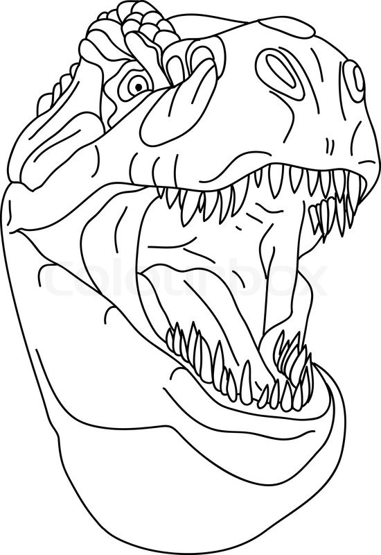 550x800 Vector - T Rex Head Drawing